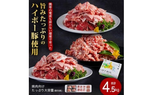 山口県産豚肉盛り合わせ4.5kg│携帯の電波も届かない環境で育った旨みたっぷりのハイポー豚