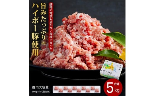 山口県産豚挽肉500g×10パック小分けセット│携帯の電波も届かない環境で育った旨みたっぷりのハイポー豚