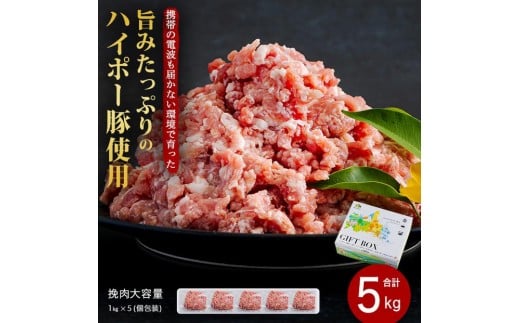 山口県産豚挽肉1kg×5パック小分けセット│携帯の電波も届かない環境で育った旨みたっぷりのハイポー豚