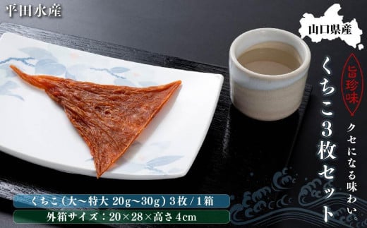 【先行予約 2025年12月下旬頃から発送】【ギフト用】山口県産くちこ3枚セット