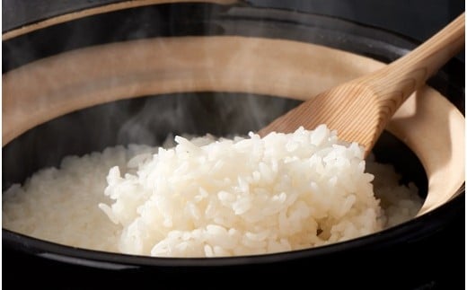 岐阜県産 はつしも ( 10kg )  | お米 米 白米 精米 ごはん 5kg 2袋