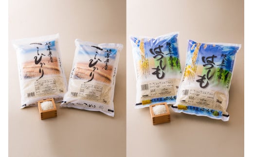 【 頒布会 】岐阜県 コシヒカリ ・ ハツシモ 食べ比べ コース（全2回）  | お米 米 白米 精米 ごはん