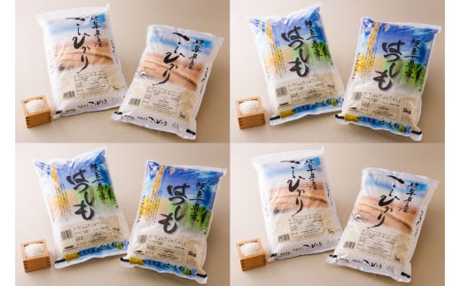 【 頒布会 】岐阜県 コシヒカリ ・ ハツシモ 食べ比べ コース（全4回） | お米 米 白米 精米 ごはん