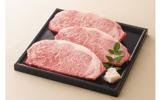 飛騨牛 サーロインステーキ サーロイン 肉 ×3枚（計600g） | お肉 肉 牛肉 ブランド牛 和牛 黒毛和牛