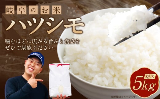 ＜先行予約＞令和7年産 岐阜のお米 ハツシモ 初霜 5kg 米 お米 白米 岐阜県 美濃加茂市【2025年11月上旬～2026年5月下旬 発送予定】