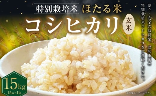 【令和7年度産】 ほたる米 コシヒカリ 玄米 15kg お米 米 コメ こめ 単一原料米 ご飯 ごはん お弁当 おにぎり 岐阜県産 国産 岐阜県 美濃加茂市 送料無料 【2025年10月下旬~12月上旬 発送予定】