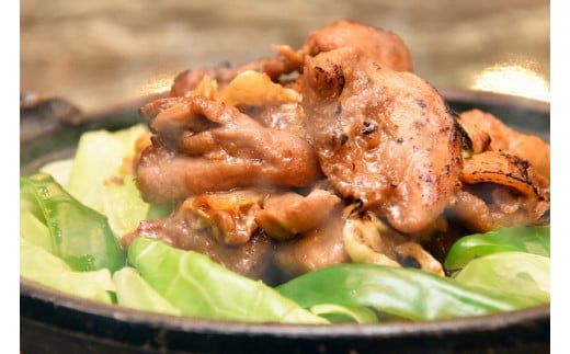 鶏ちゃん「 鶏王 ･ 王鶏 」セット（ 鶏王 ・ 王鶏 　各320g×3個）計6個 | 美濃守鶏介  国産 鶏肉 冷凍  M15S31