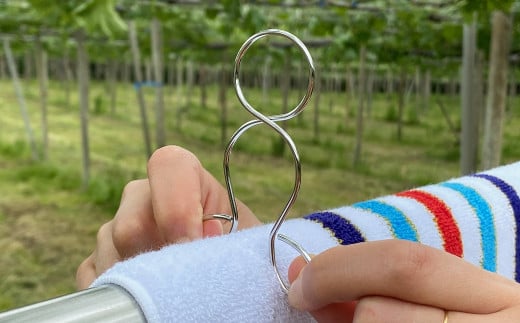 安江式SAO ピンチセット （16個） | 洗濯 ステンレス 洗濯ばさみ 日本製