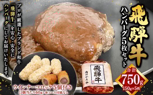 飛騨牛 ハンバーグ 5枚 セット（1枚150g） ウインナー コロッケ 5個付き 1個当たり60g | 肉のかた山 牛肉 肉 お肉 惣菜 冷凍 M16S29
