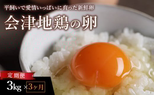 33-N 【3か月定期便】平飼い会津地鶏の卵 3kg(50~60個) ※沖縄・離島への配送不可