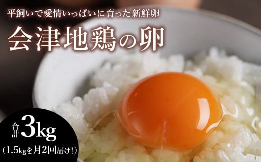 33-P 平飼い会津地鶏の卵 3kg(1.5kg×月2回便) ※沖縄・離島への配送不可