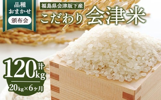 【おまかせ定期便】会津坂下産 こだわりの会津米（頒布会）20kg×6ヶ月（計120kg） ※北海道・沖縄・離島への配送不可 ※2025年11月上旬頃より順次発送予定