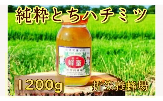 6-A 折笠養蜂場 とちハチミツ 1200g
