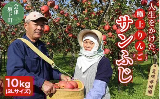 17-D　[予約開始！]　荒明果樹園　人生をかけた、極上りんご（サンふじ）10kg（3Lサイズ）｜ りんご リンゴ 林檎 果物 くだもの フルーツ 福島県 会津坂下町 ※2025年11月末頃から順次発送予定