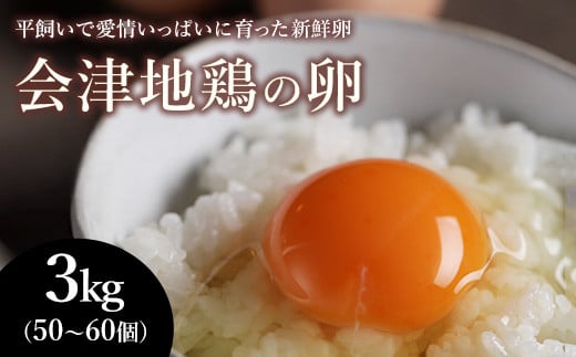 33-A 平飼い会津地鶏の卵 3kg(50~60個) ※沖縄・離島への配送不可