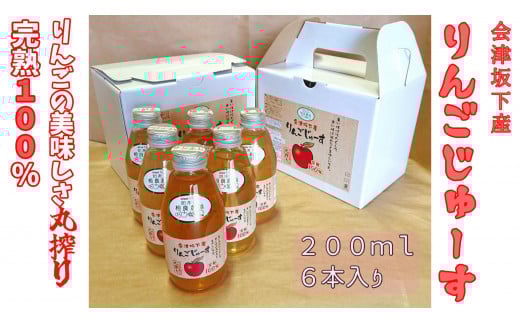 16-N 相良農場 りんごジュース200ml6本入り×2箱 (品種違い組み合わせ)小箱セット