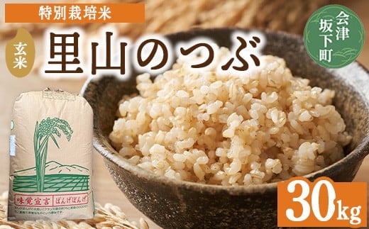 3-J　里山のつぶ玄米30kg 令和7年産 特別栽培米 ｜ 福島県会津坂下町オリジナルの玄米。米の一粒一粒が大きく、しっかりした食感、適度なもちもち感と甘みのあるお米です。 ※2025年9月下旬頃より順次発送予定