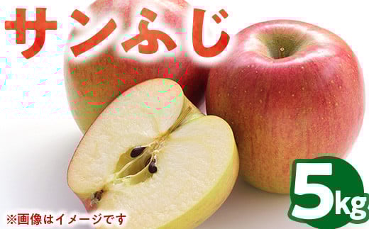 50-F 伊藤りんご園 サンふじ 5kg｜りんご リンゴ 林檎 果物 くだもの フルーツ 福島県 会津坂下町 ※2025年11月上旬頃より順次発送予定