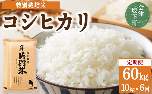 3-O　【6ヶ月定期便】コシヒカリ 白米 会津 10kg 6回 計60kg 令和7年産米 ｜ 減農薬 特別栽培米 米 お米 藤川農産 ※2025年10月上旬頃より順次発送予定