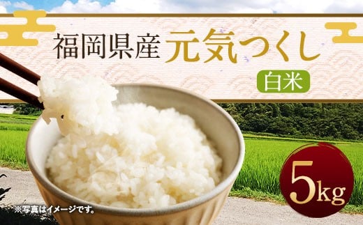 【令和7年産】福岡県産「元気つくし」5kg