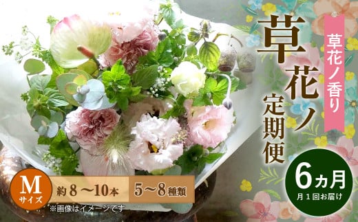 【定期便 6ヶ月】草花ノ定期便 Mサイズ 5~8種類 約8~10本