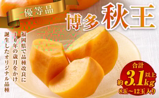 【優等品】福岡県産 博多 秋王 約3.1kg以上 (8玉～12玉入り)【2025年10月上旬～11月下旬発送】 ※北海道・沖縄・離島配送不可