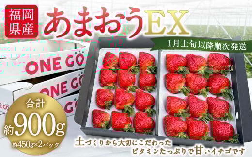 ギフト配送 福岡県産あまおう EX 約450g×2パック 合計約900g 〈特別栽培〉【2026年1月上旬~3月下旬発送予定】