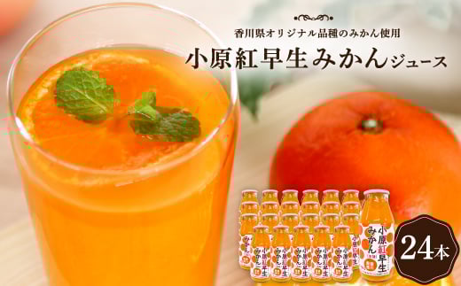 小原紅早生みかんジュース【1605638】