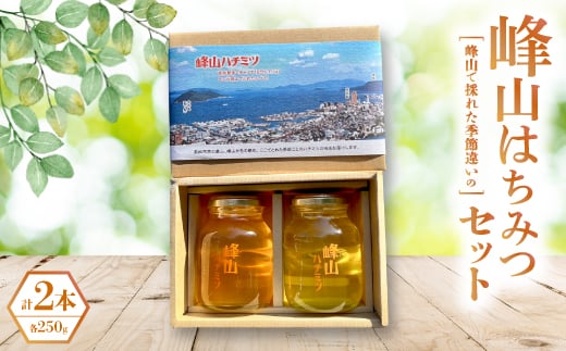 峰山ハチミツ大びん2本セット(高松景色箱入り)【1608605】