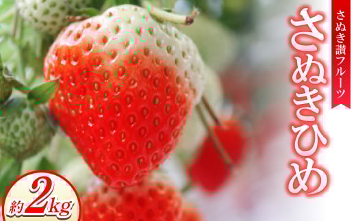 さぬき讃フルーツ「さぬきひめ」約2kg <令和8年1~3月より順次発送>【1611398】