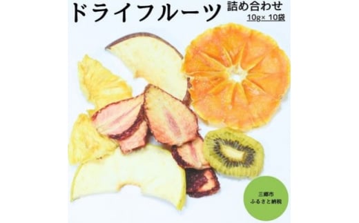 ドライフルーツ詰め合わせ　10g×10袋_ドライフルーツ 詰め合わせ 美味しい フルーツ くだもの 小分け おやつ 健康 人気 おすすめ【1394762】
