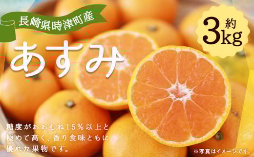 【数量限定】長崎県 時津町産 あすみ 約3kg 柑橘 果物【2026年2月下旬-3月下旬迄発送予定】