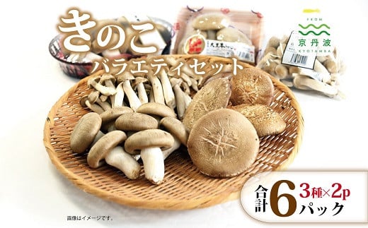 京丹波町産 きのこバラエティセット （ 国産 京都 きのこ キノコ 大判 丹波 しめじ カット 本シメジ 食感 シャキシャキ 旨味たっぷり 菌床 シイタケ 椎茸 天ぷら 鍋 炒め物 ） ※北海道・沖縄・その他離島への配送不可 [010MK001]