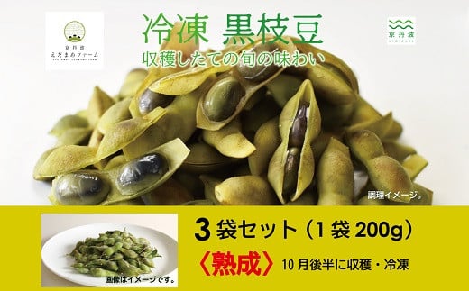 冷凍 丹波黒枝豆 熟成 600g(200g×3パック) 国産 京都 丹波 黒豆 えだまめ ビール おつまみ ※北海道・沖縄・その他離島は配送不可 [010KY002]