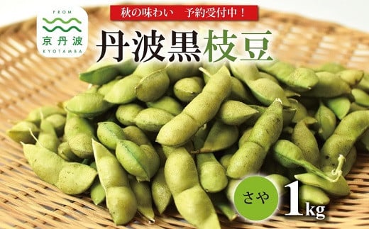 [ 先行予約 ]丹波黒枝豆 さや 1kg(京都 京丹波町産 丹波黒大豆)≪秋だけの期間限定 数量限定≫[季節限定 おつまみ 枝豆 えだまめ 地域限定 黒豆 ご当地グルメ 特産品]※北海道・沖縄・その他離島は配送不可 [008KK001L]