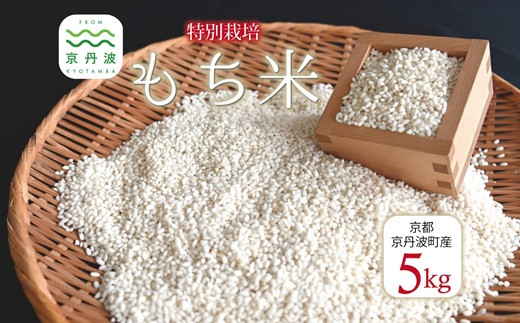 《数量限定》 特別栽培 もち米 5kg 京都 丹波 京丹波町産 餅 もち 糯米 餅米 新羽二重糯 ※北海道・沖縄・その他離島は配送不可 [013AGC001L]