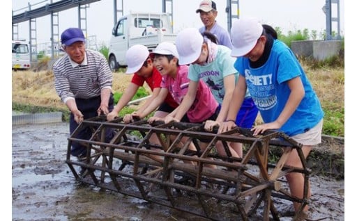 ⑤力を合わせ参画する潤いのあるまちづくりに関する分野（その他全般）