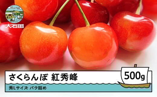 さくらんぼ 紅秀峰 秀Lサイズ バラ詰め 500g 2026年産 令和8年産 山形県産 ふるさと納税 果物 くだもの フルーツ 期間限定 冷蔵配送 先行受付 グルメ 取り寄せ ご当地 特産 産地 直送 送料無料 東北 山形県 人気山形県産 果物 フルーツ くだもの ns-bsslb500