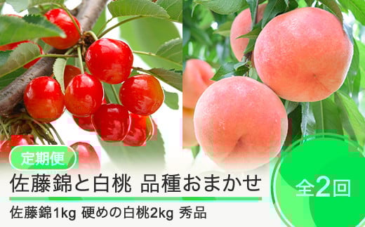【先行予約】 2回定期便 佐藤錦1kg 白桃2kg さくらんぼ 硬めの白桃 品種おまかせ 選べる定期便 山形県産 2026年産 令和8年産 フルーツ 果実  ry-ft2sh3000-h