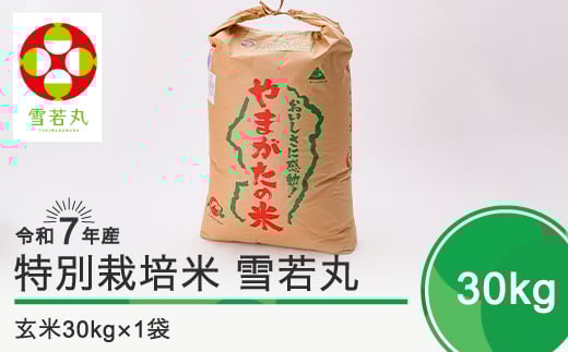 新米 米 令和8年2月下旬発送 雪若丸30kg 玄米 令和7年産 ※沖縄・離島への配送不可 ja-yugxa30-2s