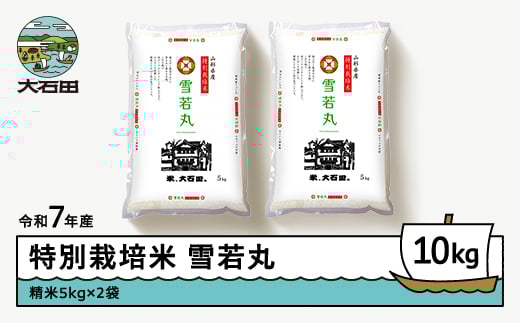 新米 米 令和7年産 米 雪若丸 10㎏ 2026年1月下旬発送 大石田町産 特別栽培米 精米 ※沖縄・離島への配送不可 ja-yusxa10-1s