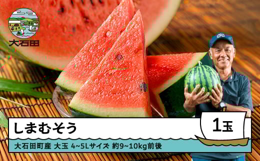 大玉すいか しまむそう 4〜5Lサイズ×1玉 2026年産 令和8年産 山形県産 7月中旬から順次発送 gt-susmx4
