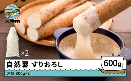 雪国育ちの自然薯 すりおろし 300g×2 計600g 野菜 やまいも じねんじょ 山形県 大石田町産 oz-zisox600