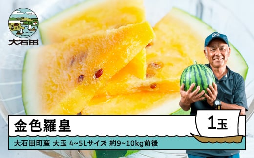すいか 大玉 金色羅皇 4〜5Lサイズ×1玉 2026年産 令和8年産 山形県産 大石田町産 8月上旬から順次発送 gt-sukrx4
