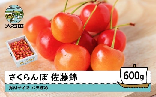 さくらんぼ 佐藤錦 秀Mサイズ バラ詰め 600g (600g×1箱) 2026年産 令和8年産 山形県産 ふるさと納税 果物 くだもの フルーツ 期間限定 冷蔵配送 先行受付 グルメ 取り寄せ ご当地 特産 産地 直送 送料無料 東北 山形県 人気 山形県産 ns-snsmb600