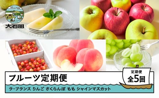 フルーツ 定期便 全5回 2025年産 令和7年産 ラ・フランス りんご サンふじ シナノゴールド 2026年産 令和8年産 さくらんぼ 佐藤錦 もも 白桃 ぶどう シャインマスカット 果物 山形県産 ns-ft5xx-a