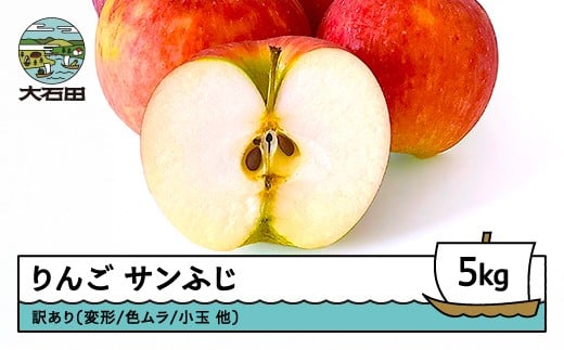 りんご サンふじ 訳あり 約5kg 2025年産 令和7年産 フルーツ 果物 山形県 ns-riwax5
