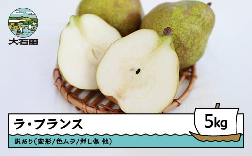 ラ・フランス 洋梨 訳あり 約5kg 2025年産 令和7年産 フルーツ 果物 山形県 ns-lawax5