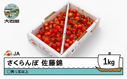 先行予約 さくらんぼ 佐藤錦 1kgバラ ◯秀 L玉以上 2026年産 令和8年産 果物 フルーツ 山形県産 ※沖縄・離島への配送不可 ja-snbax1