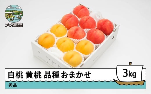 【先行予約】 もも 白桃 有袋黄桃 秀品 詰め合わせ 品種おまかせ 3kg 化粧箱入りフルーツ 果物 アソート 令和8年産 2026年産 山形県産 ns-mohot3